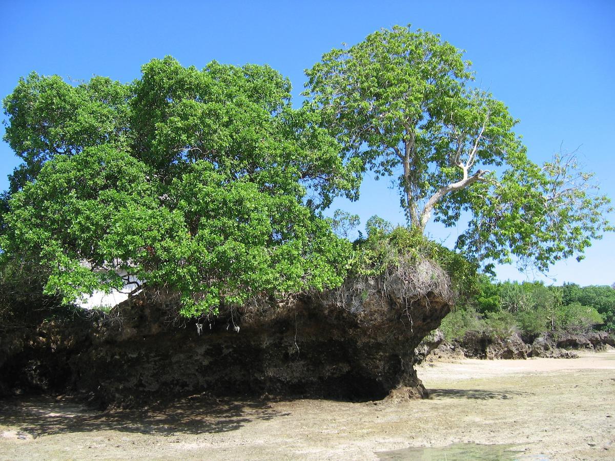 Chapwani Private Island Hotel Grave Island Exterior photo