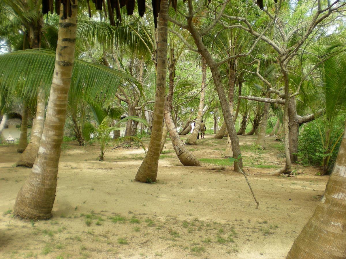 Chapwani Private Island Hotel Grave Island Exterior photo